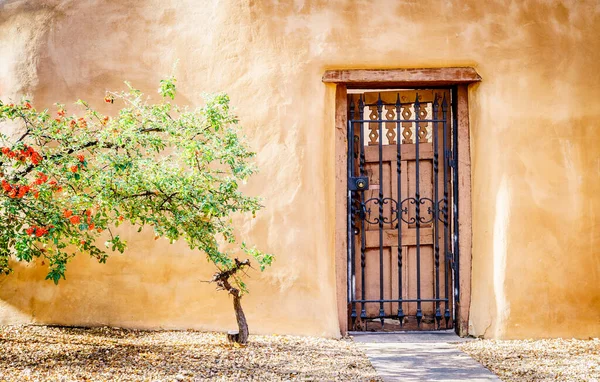 Vacker Eldtorn Träd Framför Traditionella Adobe Byggnad Santa New Mexico — Stockfoto