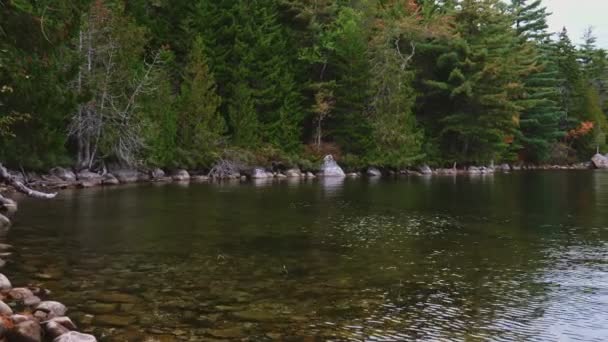 Blick Auf Den Long Pond Acadia National Park Maine — Stockvideo