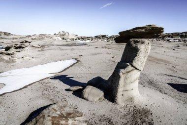 New Mexico 'daki Bisti De-Na-Zin Yaban hayatının kışın manzarası