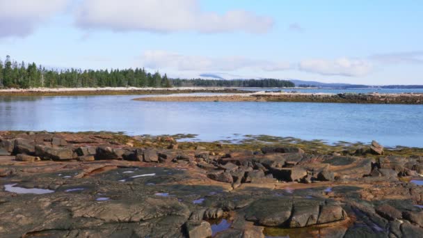 Maine Deki Acadia Ulusal Parkı Ndaki Rocky Sahili — Stok video