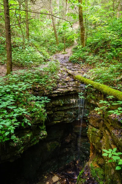 Sinkhole Henson Arch Trail Red River Gorge Kentucky — Stockfoto