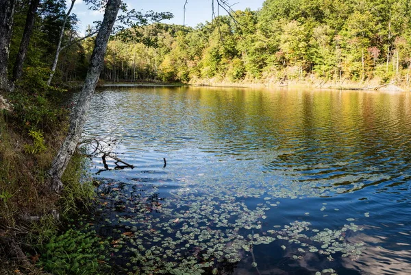 ケンタッキー州モアヘッドのイーグル湖のパノラマビュー秋 — ストック写真