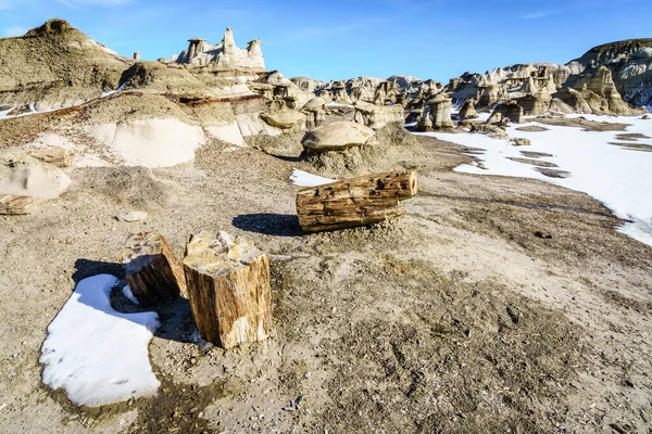 Bitar Förstenat Trä Vid Bisti Zin Vildmarksområde New Mexico Vintern — Stockfoto