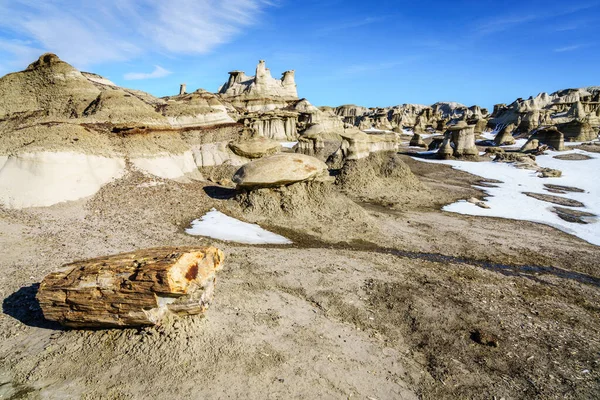 Pedaços Madeira Petrificada Área Selvagem Bisti Zin Novo México Inverno — Fotografia de Stock