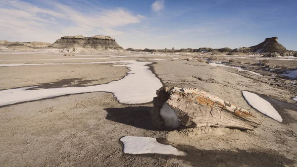 Cijfers Van Versteend Hout Bij Bisti Zin Wilderness Area New — Stockfoto