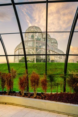 Inside the Frans Krajcberg Gallery in Botanical Gardens of Curitiba, Brazil