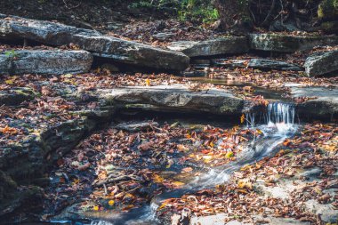 Raven Run creek and ravine in Raven Run Nature Sanctuary in Lexington, Kentucky