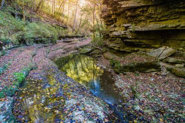 Raven Run creek and ravine in Raven Run Nature Sanctuary in Lexington, Kentucky