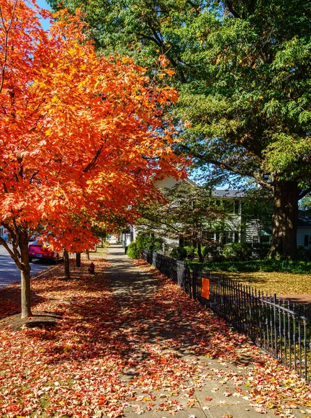Colorful fall scene in Georgetown, Kentucky