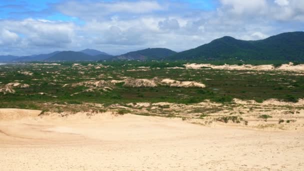 Scenic View Dunes Ecological Park Florianopolis Brazil — Vídeos de Stock