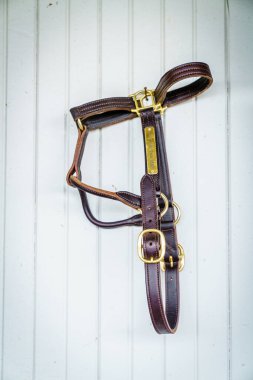 Close-up image of a leather bridle or horse halter hanging on a stable wall