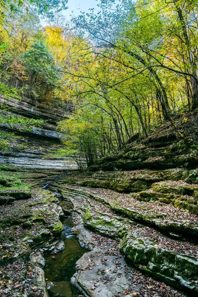 Raven Run Creek Ravine Raven Run Nature Sanctuary Lexington Kentucky — Foto Stock