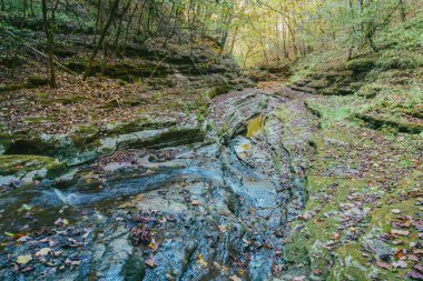 Raven Run creek and ravine in Raven Run Nature Sanctuary in Lexington, Kentucky