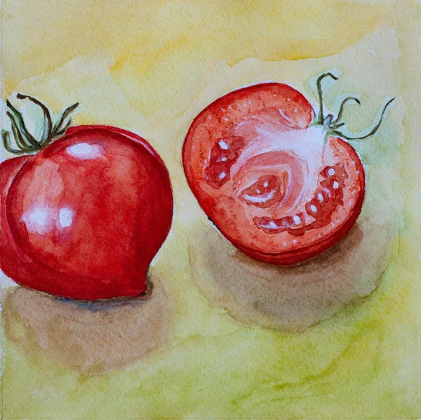 Tomato watercolor — Stock Photo, Image