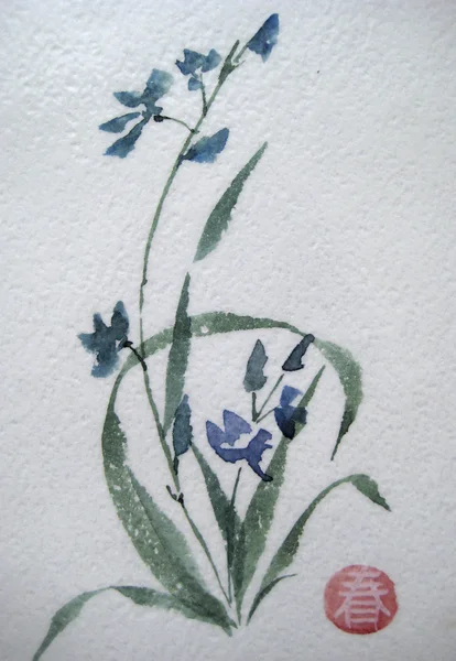 Asya yaban çiçeği