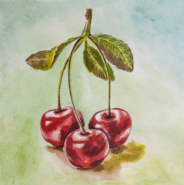 Cherry akvarell — Stockfoto