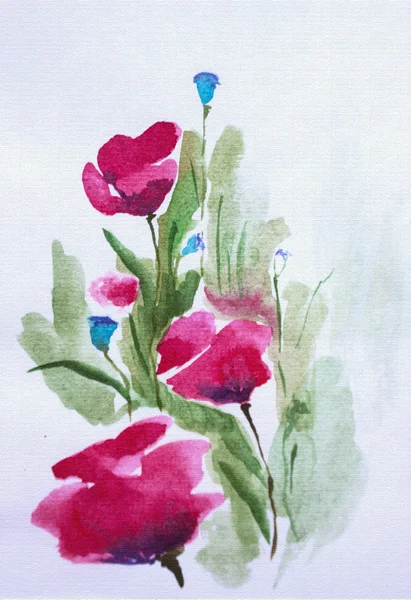 alandaki parlak haşhaş