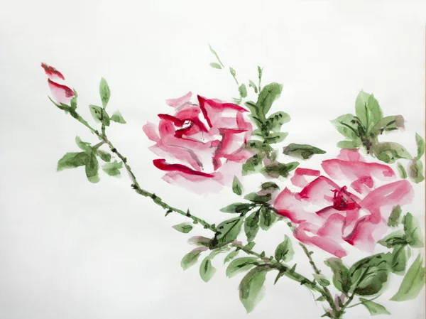 Rosas asiático aquarela — Fotografia de Stock