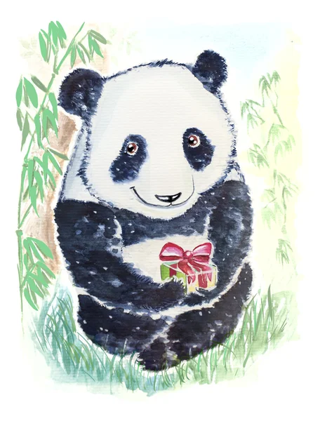 Panda urso com presente — Fotografia de Stock