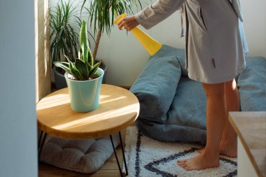 Çekici sarışın ev bitkilerini bornozla spreyliyor. Ev işleri iç mimarisi.