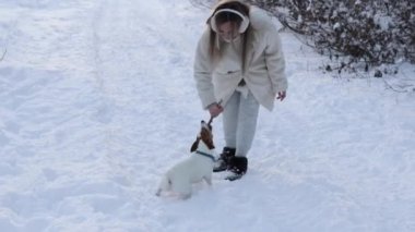 A beautiful blonde woman plays outside with the dog Jack Russell Terrier in the snowy forest. The dog takes the stick from the owner
