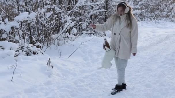 Jugando con el compañero en invierno. Linda chica jugando con el perro Jack Russell Terrier en el bosque nevado le lanza un palo — Vídeos de Stock