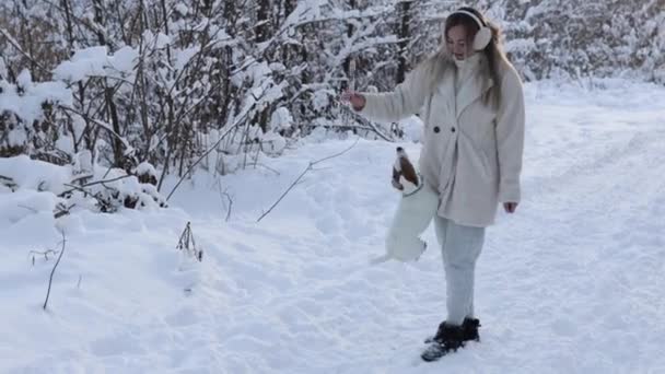 Playing with the sidekick in the winter. Cute girl playing with the dog Jack Russell Terrier in the snowy forest throws him a stick — Stock video