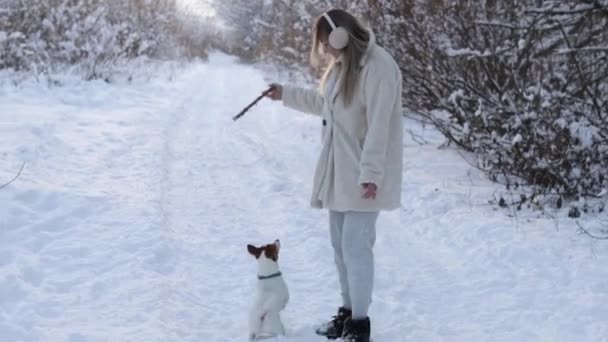 Playing with the sidekick in the winter. Cute girl playing with the dog Jack Russell Terrier in the snowy forest throws him a stick — Stockvideo