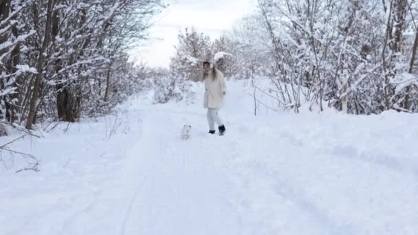 Χειμερινή διασκέδαση. Ένα ελκυστικό κορίτσι παίζει με το σκυλί Jack Rusl Terrier το χειμώνα στο χιόνι — Αρχείο Βίντεο