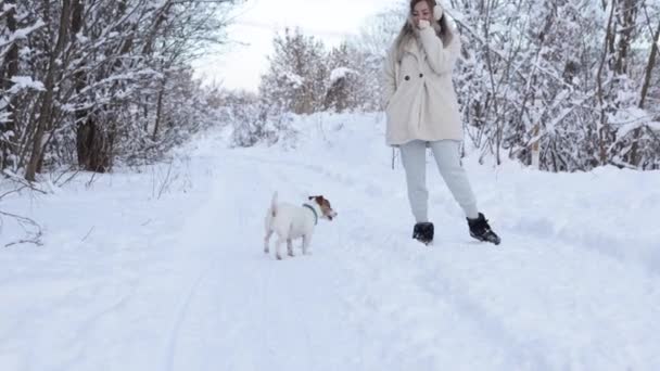 Winter entertainment. An attractive girl plays with the dog Jack Rusl Terrier in the winter in the snow — Video Stock