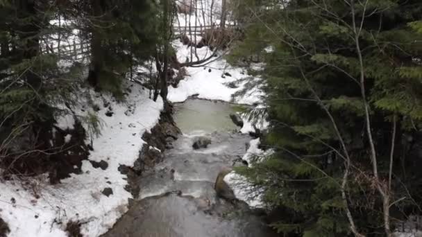 Tina. Tidig vår smälter snö och vatten skapar en fjällflod och bäck. Ekologi och naturskydd — Stockvideo