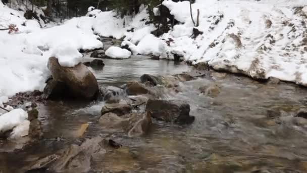 Descongelar. La primavera temprana derrite la nieve y el agua crea un río y un arroyo de montaña. ecología y protección de la naturaleza — Vídeos de Stock