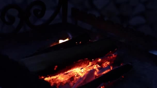 Колоди горять на грилі. Вогонь у каміні — стокове відео