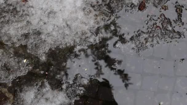 Una gota de agua cae en un charco derretido. cambio climático — Vídeos de Stock