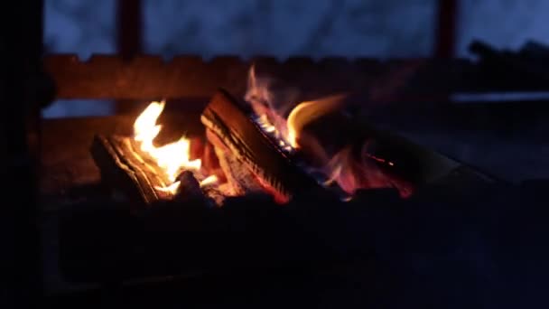 Kłody płoną w grillu. Ogień w kominku — Wideo stockowe
