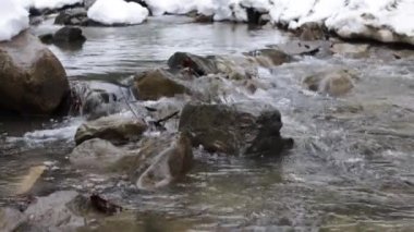 Buzlar çözülsün. Erken bahar karı eritir ve su bir dağ nehri ve akarsu yaratır. ekoloji ve doğa koruması