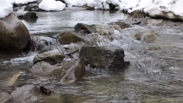 Descongelar. La primavera temprana derrite la nieve y el agua crea un río y un arroyo de montaña. ecología y protección de la naturaleza — Vídeo de stock