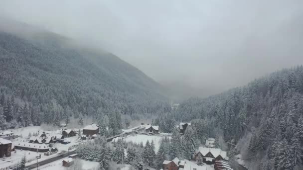 안개낀 날씨와 눈이 내리는 산에 있는 소나무 숲을 공중에서 내려다본 모습. 안개 속에서 눈이 덮인 소나무 숲 위를 날고 있는 드론 — 비디오