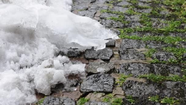 Λιωμένο χιόνι στο πεζοδρόμιο. ψεκασμός σε χειμερινά μονοπάτια για τους πεζούς. Απόψυξη νωρίς την άνοιξη — Αρχείο Βίντεο