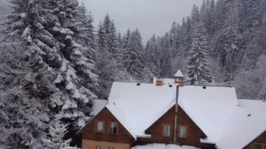 Dağlardaki bir çam ormanının içindeki çatı katının havadan görünüşü. Sisli hava ve kar yağışıweather condition