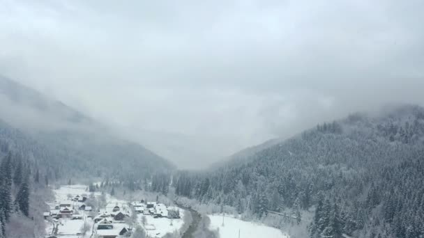 霧の多い天候や雪の山の上の松林の空中ビュー。雪のある松林の上の霧の中のドローン飛行 — ストック動画