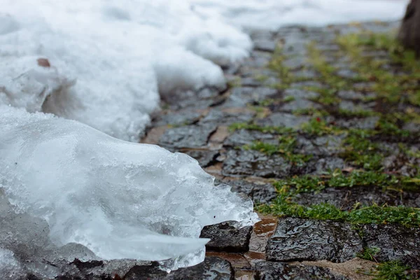 이끼로 뒤덮인 파종 돌 위에 얼어붙은 눈 — 스톡 사진