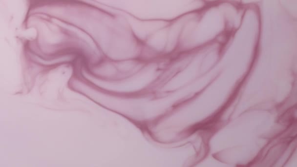 Abstraction of paint stirring in a liquid close -up — Stock Video