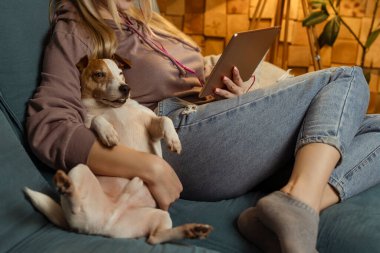 Kanepede bir kız dizüstü bilgisayarında bir köpekle uzanıyor ve kulaklıkla müzik dinliyor. İnternet üzerinden serbest çalışma ve iletişim