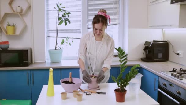 A cute girl transplants a plant at home in garden gloves. Walk and decorate your home with plants and fresh flowers — Vídeos de Stock