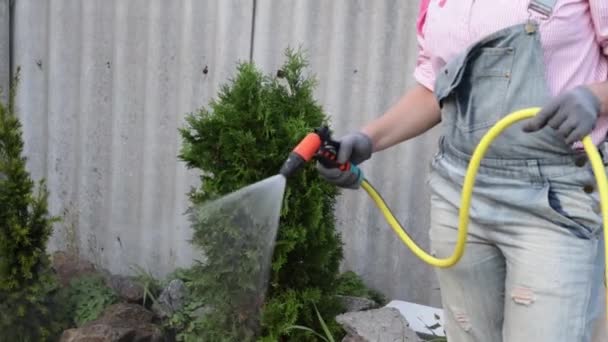 Young Adult Woman Wateres Vegetable Garden Garden Hose House Beautiful — Vídeos de Stock