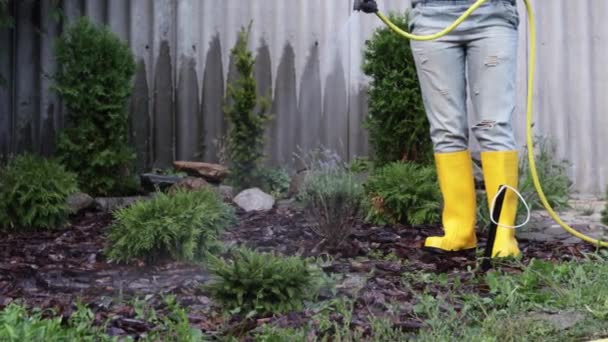 Genç Yetişkin Bir Kadın Bahçe Hortumuyla Evin Dışındaki Sebze Bahçesini — Stok video