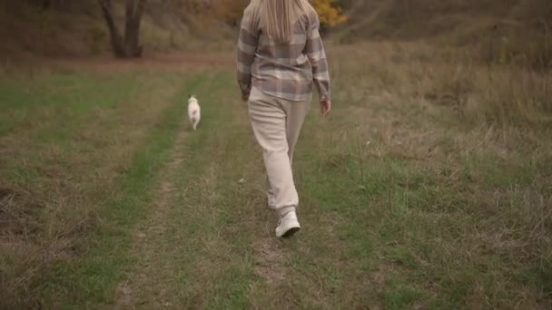 女性は公園の森の中で犬を歩いている 旅行のコンセプト ワイドショット 高品質のフルHd映像 — ストック動画