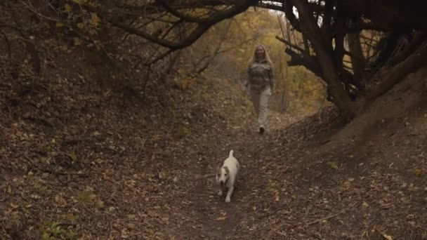 Mujer Paseando Perro Bosque Del Parque Concepto Viaje Buen Tiro — Vídeo de stock