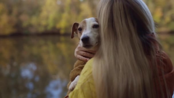 Porträt Einer Lächelnden Jungen Frau Die Einen Hund Auf Einem — Stockvideo